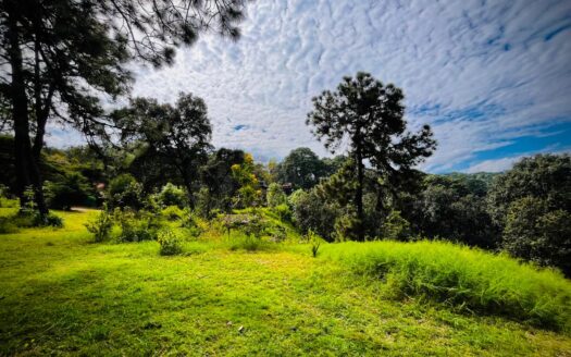 Reserva el Pedregal Avándaro