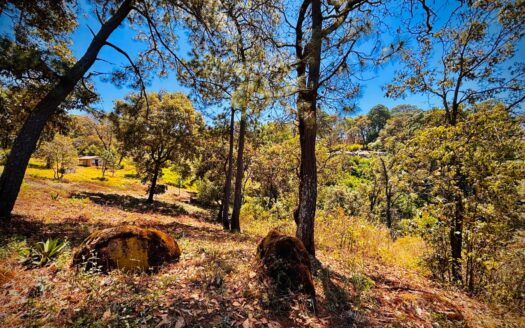 Reserva el Pedregal Avándaro
