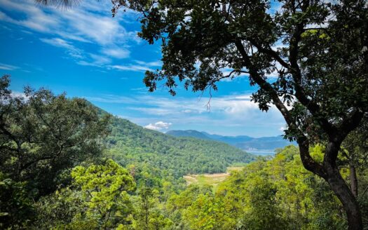 Reserva el Pedregal Avándaro