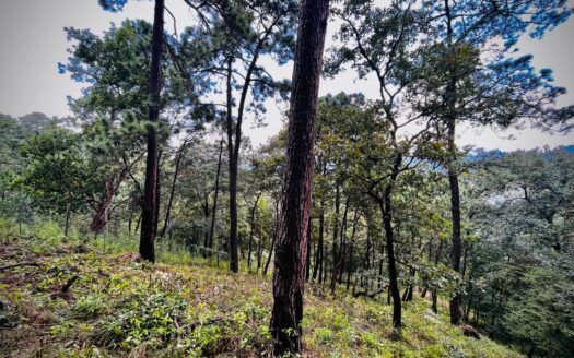 Valle de Bravo Lake view