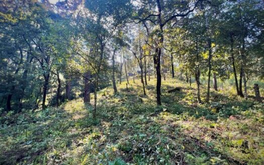 Valle de Bravo Lake view
