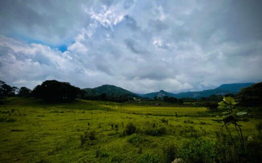 Volcano reserve view