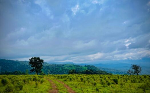 Volcano reserve view
