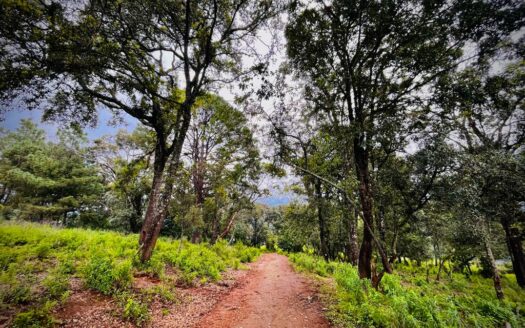 Volcano reserve view