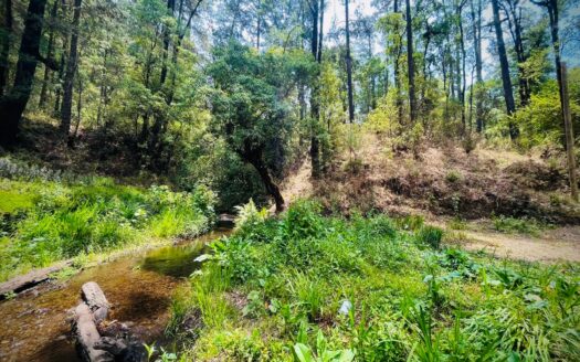 Reserva la gran cascada