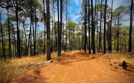 Reserva la gran cascada