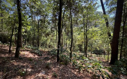 Terreno en Venta en Avándaro a 5 Minutos de Valle de Bravo