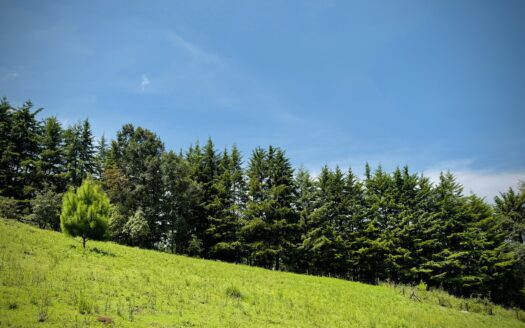 Terreno en Venta en Valle de Bravo Entre La Montaña