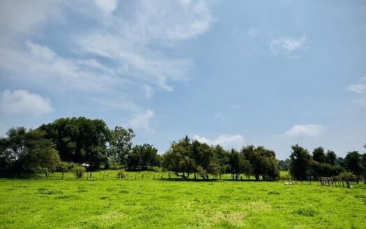 Terreno en Venta en Valle de Bravo a 10 Minutos del Club de Golf Avándaro