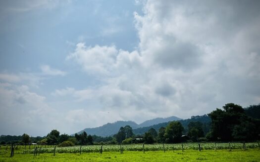 Terreno en Venta en Valle de Bravo a 10 Minutos del Club de Golf Avándaro