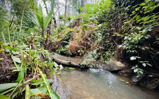 Terreno en Venta en Avándaro a 5 Minutos de Valle de Bravo